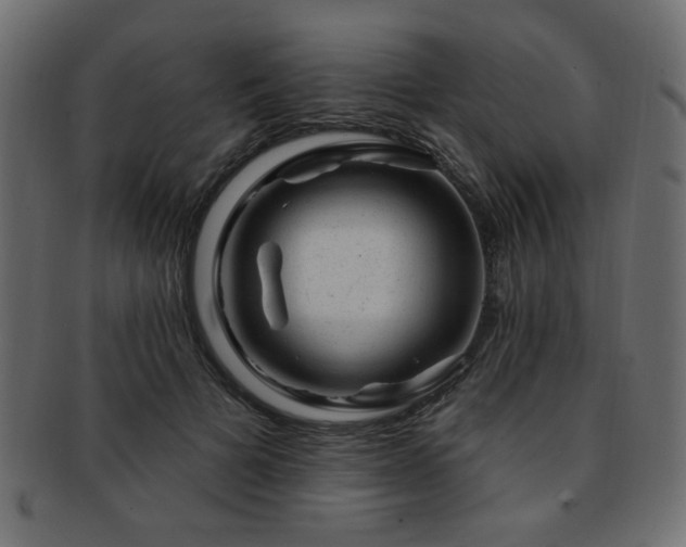 X0000093210697200709261557