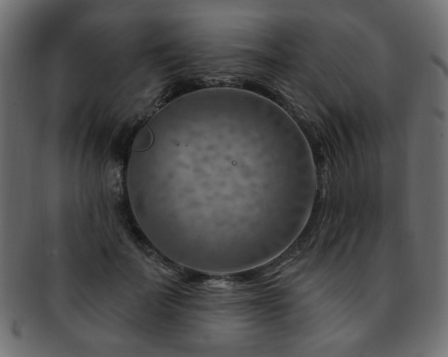 X0000093210699200709261557