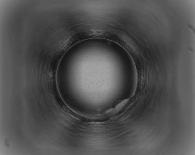 X0000093210700200709261556