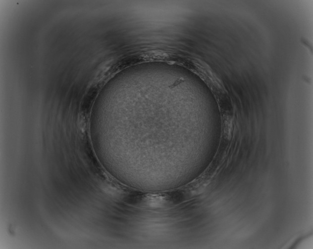 X0000093210701200709261556