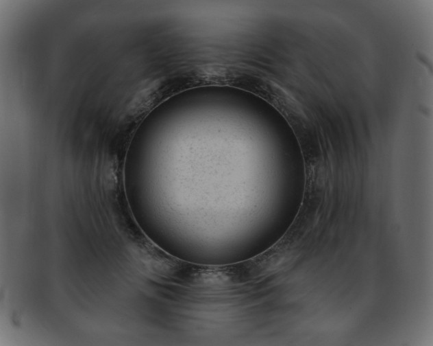 X0000093210702200709261556