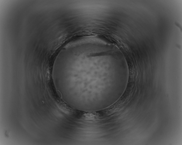 X0000093210703200709261556