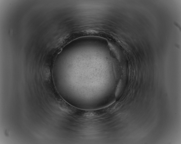 X0000093210704200709261556