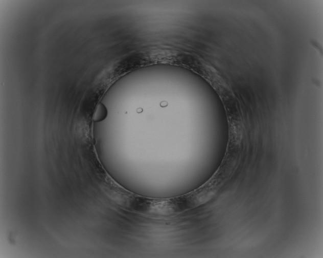 X0000093210705200709261556
