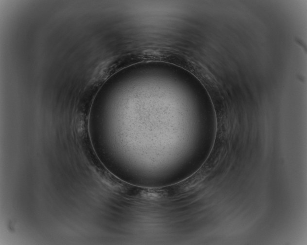 X0000093210706200709261556