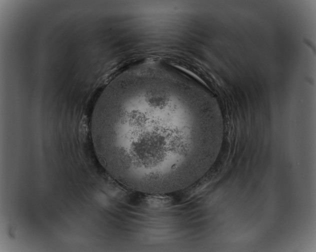 X0000093210707200709261556
