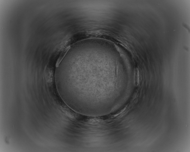 X0000093210708200709261556