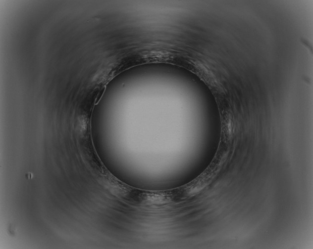 X0000093210709200709261556