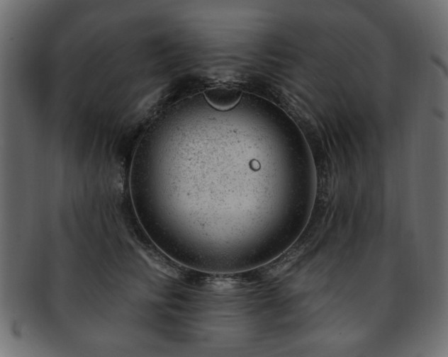 X0000093210710200709261556