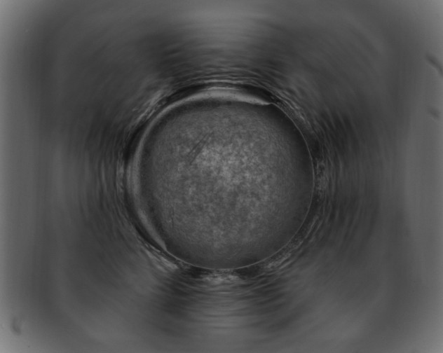 X0000093210712200709261556