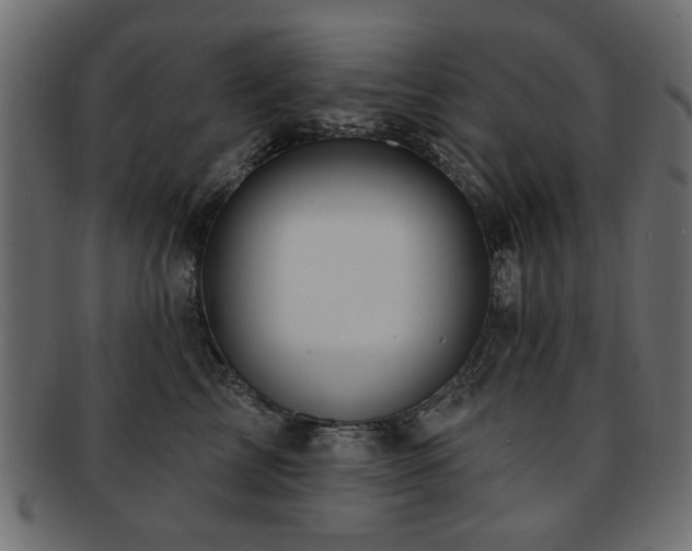 X0000093210713200709261556