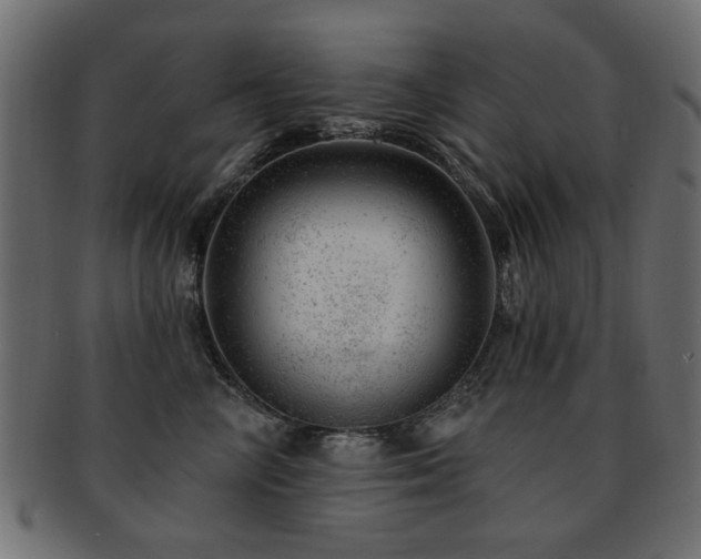 X0000093210714200709261556