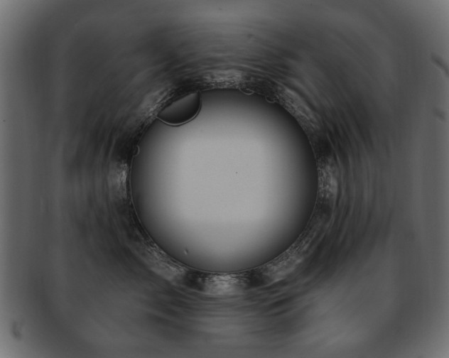 X0000093210717200709261556