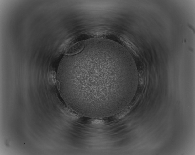 X0000093210718200709261556
