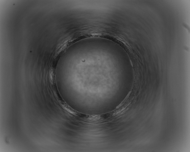 X0000093210720200709261556