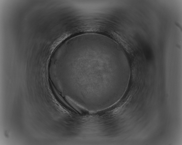 X0000093210721200709261556