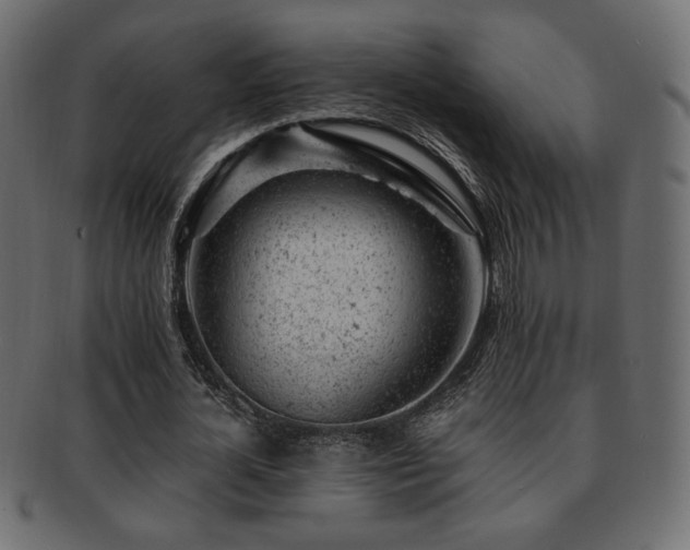 X0000093210724200709261556