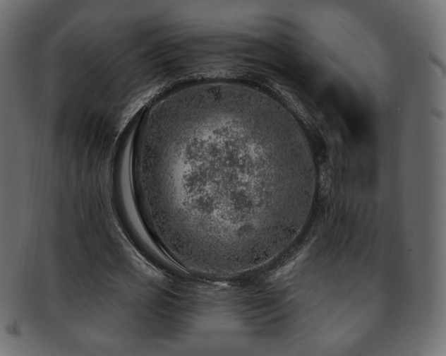 X0000093210725200709261556