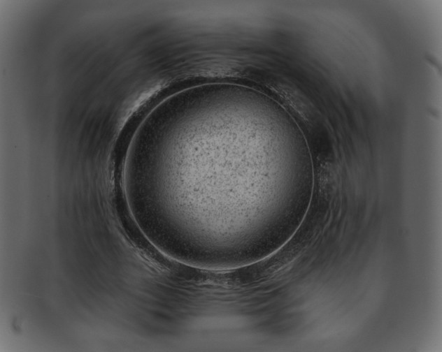 X0000093210727200709261556