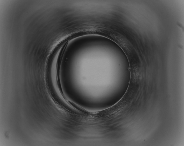 X0000093210728200709261556