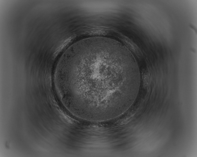 X0000093210729200709261556