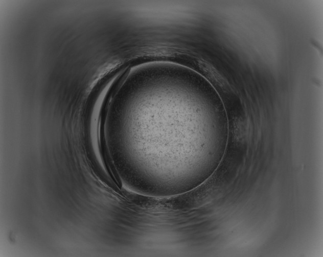 X0000093210731200709261556