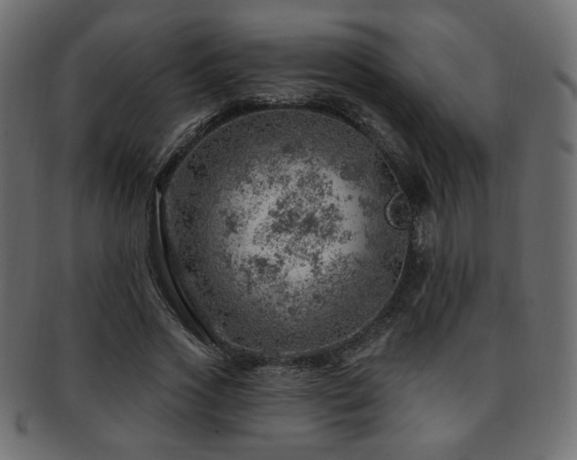 X0000093210733200709261556