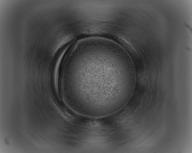 X0000093210735200709261556