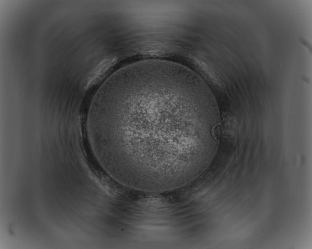 X0000093210738200709261556