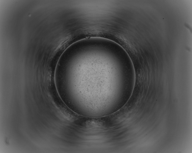 X0000093210739200709261556
