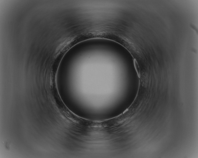 X0000093210740200709261556
