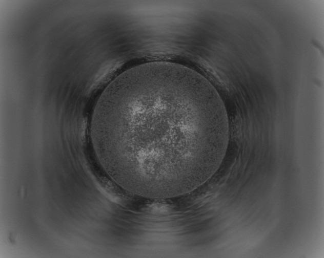 X0000093210742200709261556
