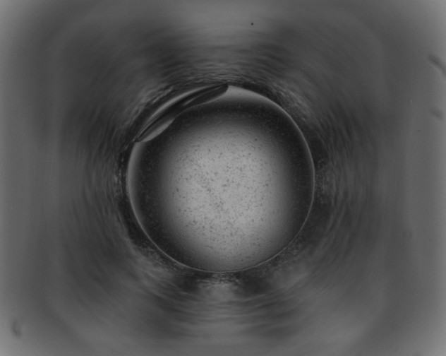 X0000093210743200709261556