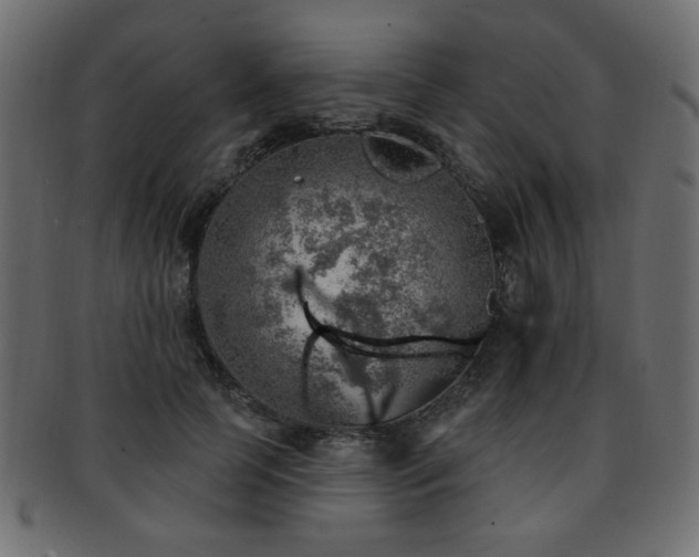 X0000093210745200709261556