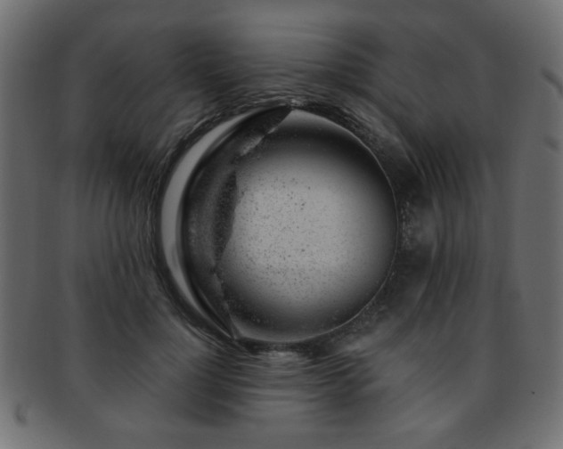X0000093210748200709261556