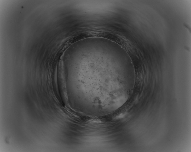 X0000093210749200709261556