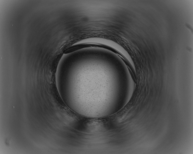 X0000093210750200709261556