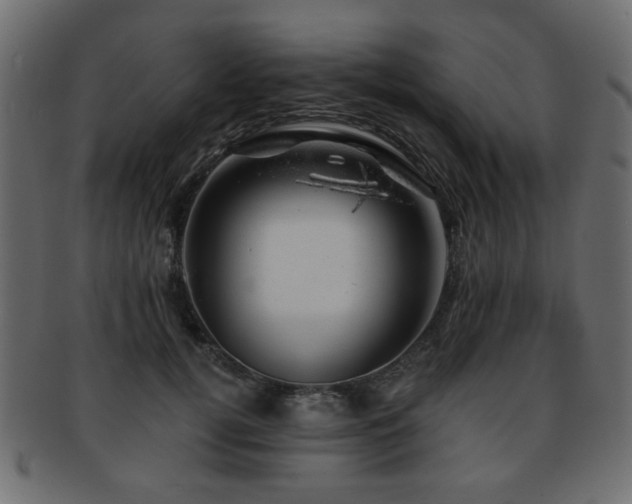 X0000093210752200709261556
