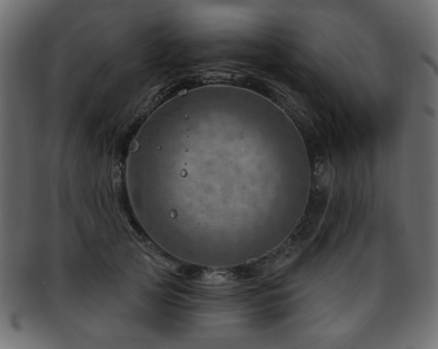 X0000093210753200709261556