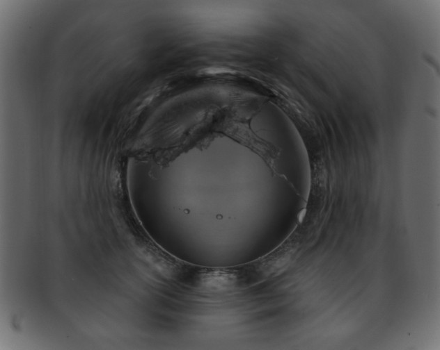 X0000093210754200709261556