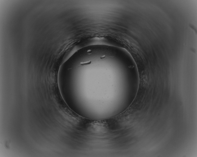 X0000093210756200709261556