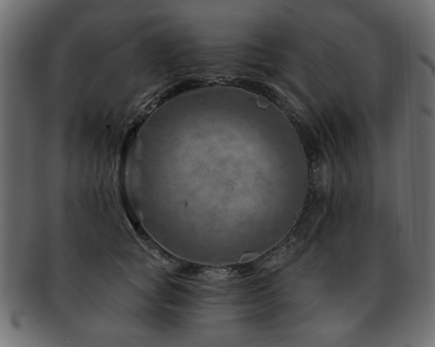 X0000093210757200709261556