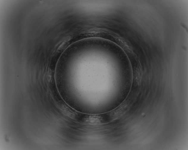 X0000093210758200709261556