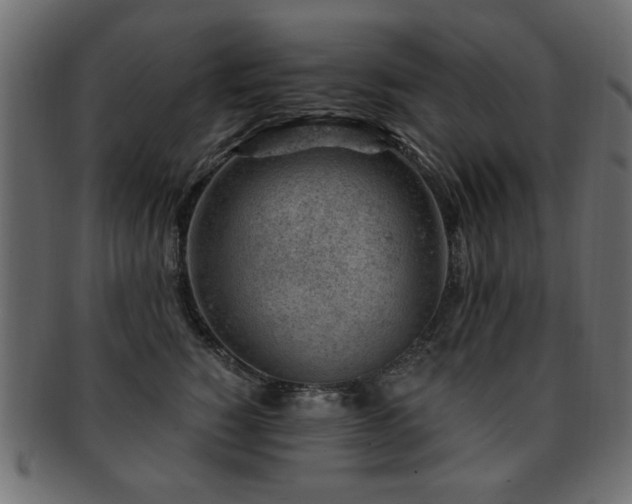 X0000093210760200709261556