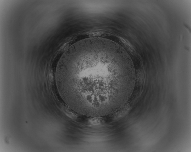 X0000093210761200709261556