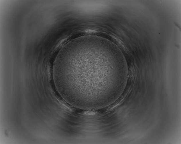 X0000093210762200709261556