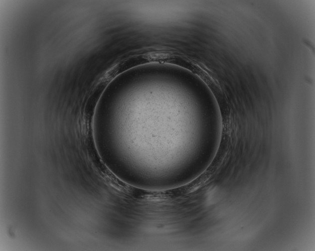 X0000093210763200709261556