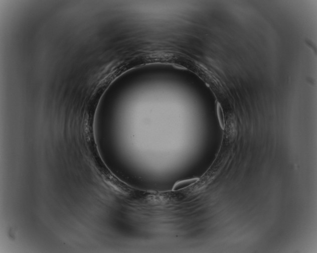 X0000093210764200709261556