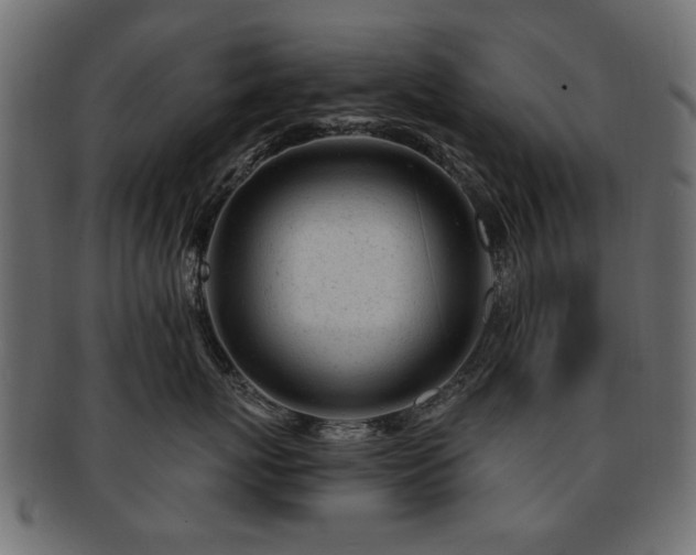 X0000093210767200709261556