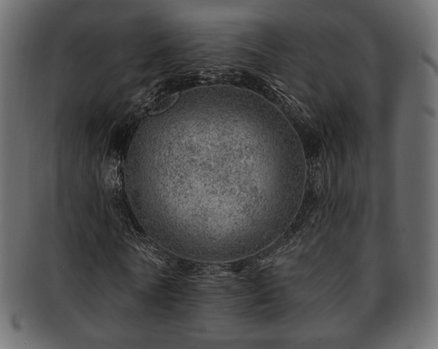 X0000093210770200709261555